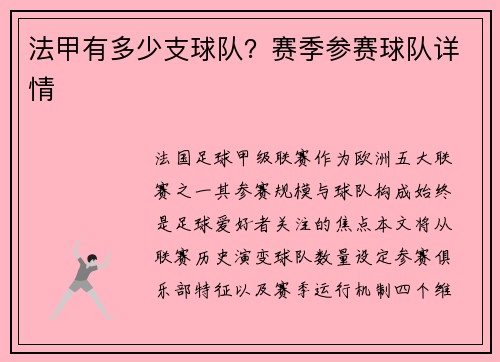 法甲有多少支球队？赛季参赛球队详情